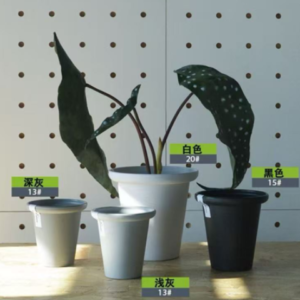 熱植系列花盆-I1